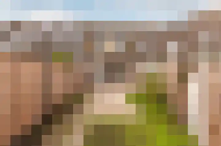 Leerdampad 44 Almere thumbnail 28