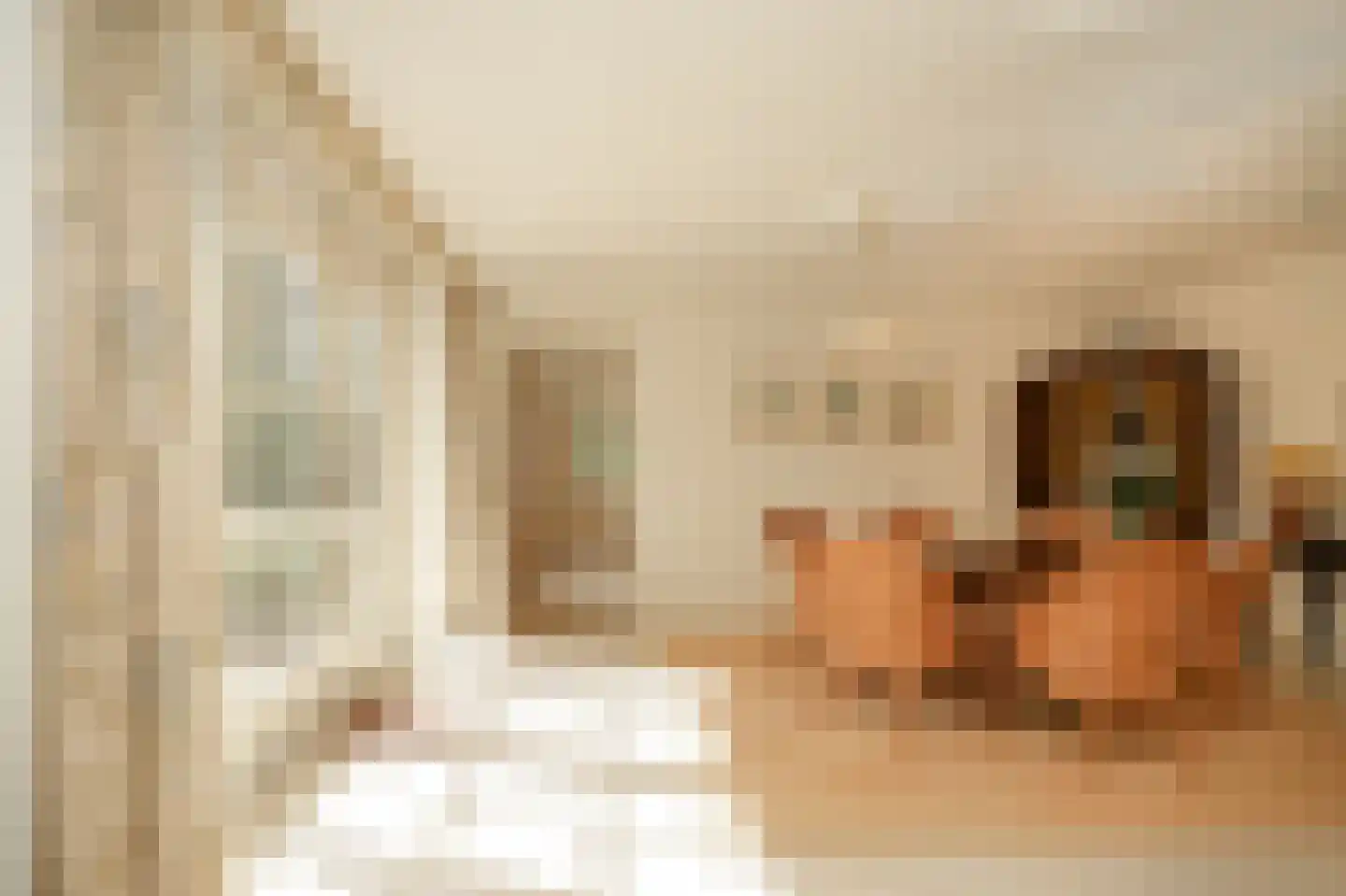Leerdamseweg 52 Asperen thumbnail 4