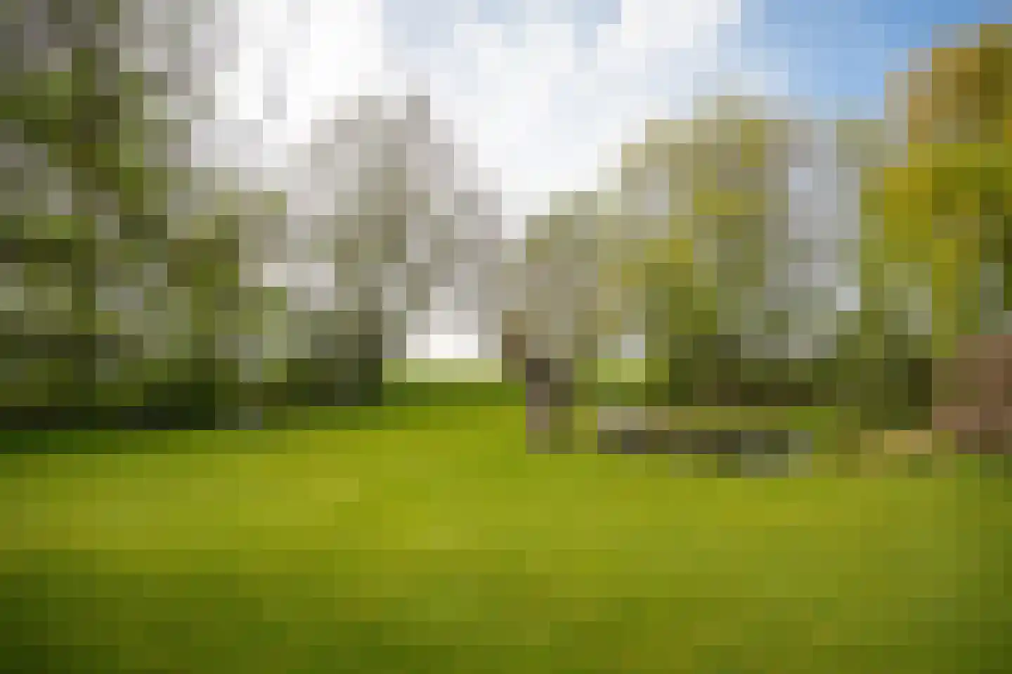 Leerdamseweg 52 Asperen thumbnail 41