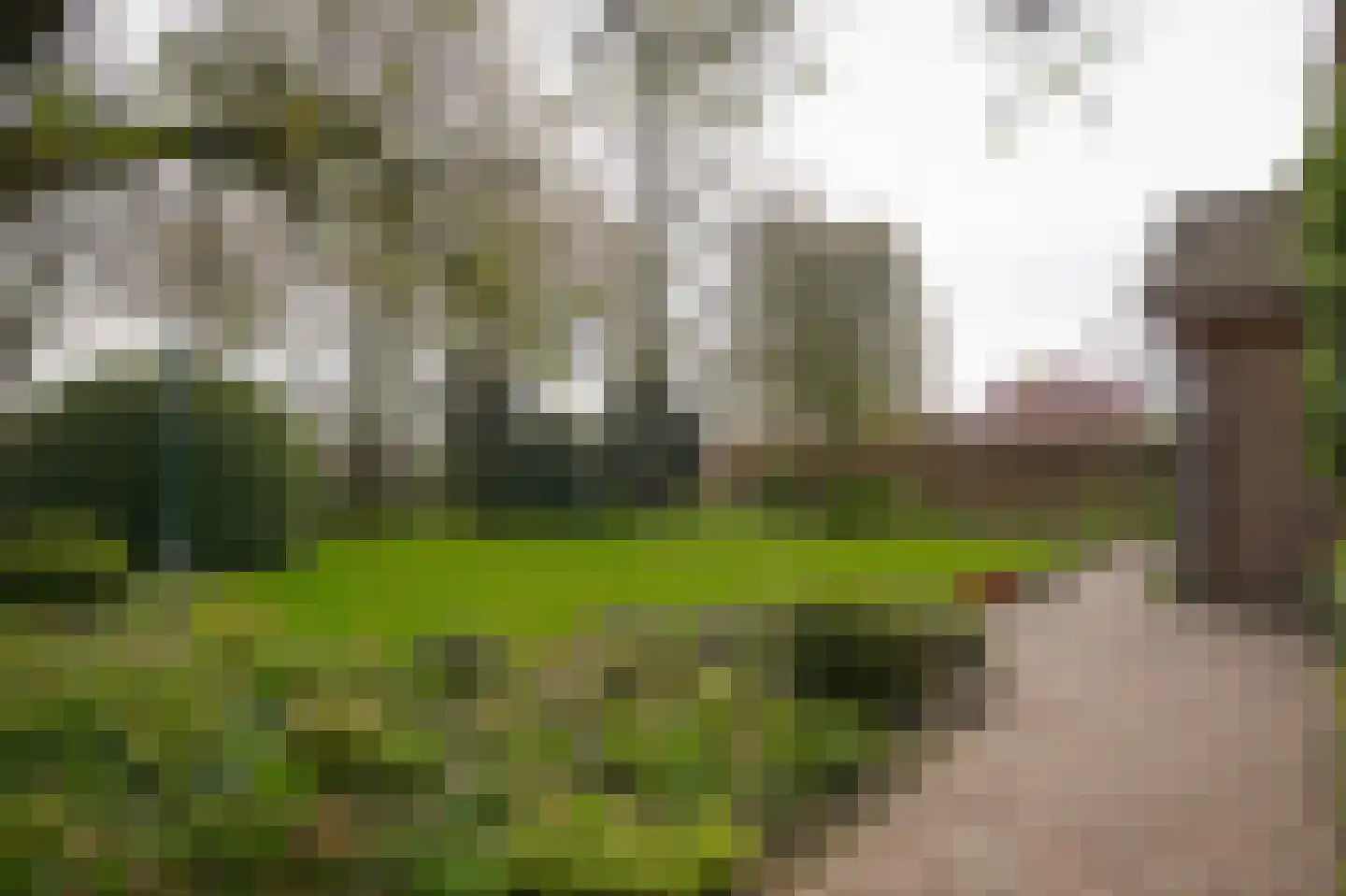 Leerdamseweg 52 Asperen thumbnail 44