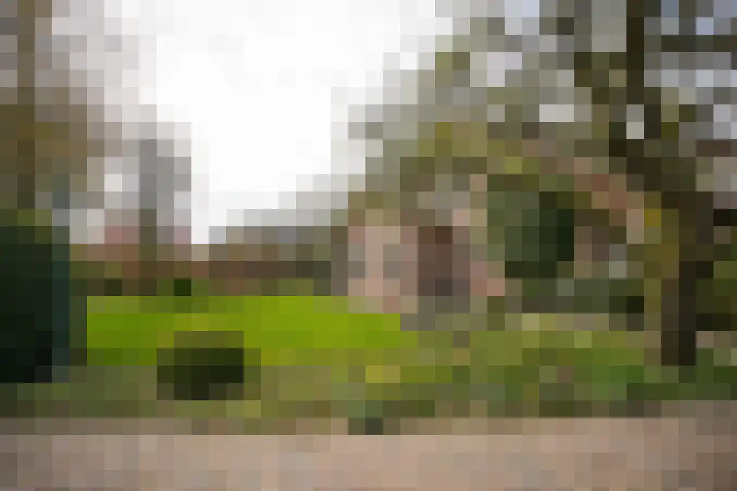 Leerdamseweg 52 Asperen thumbnail 46
