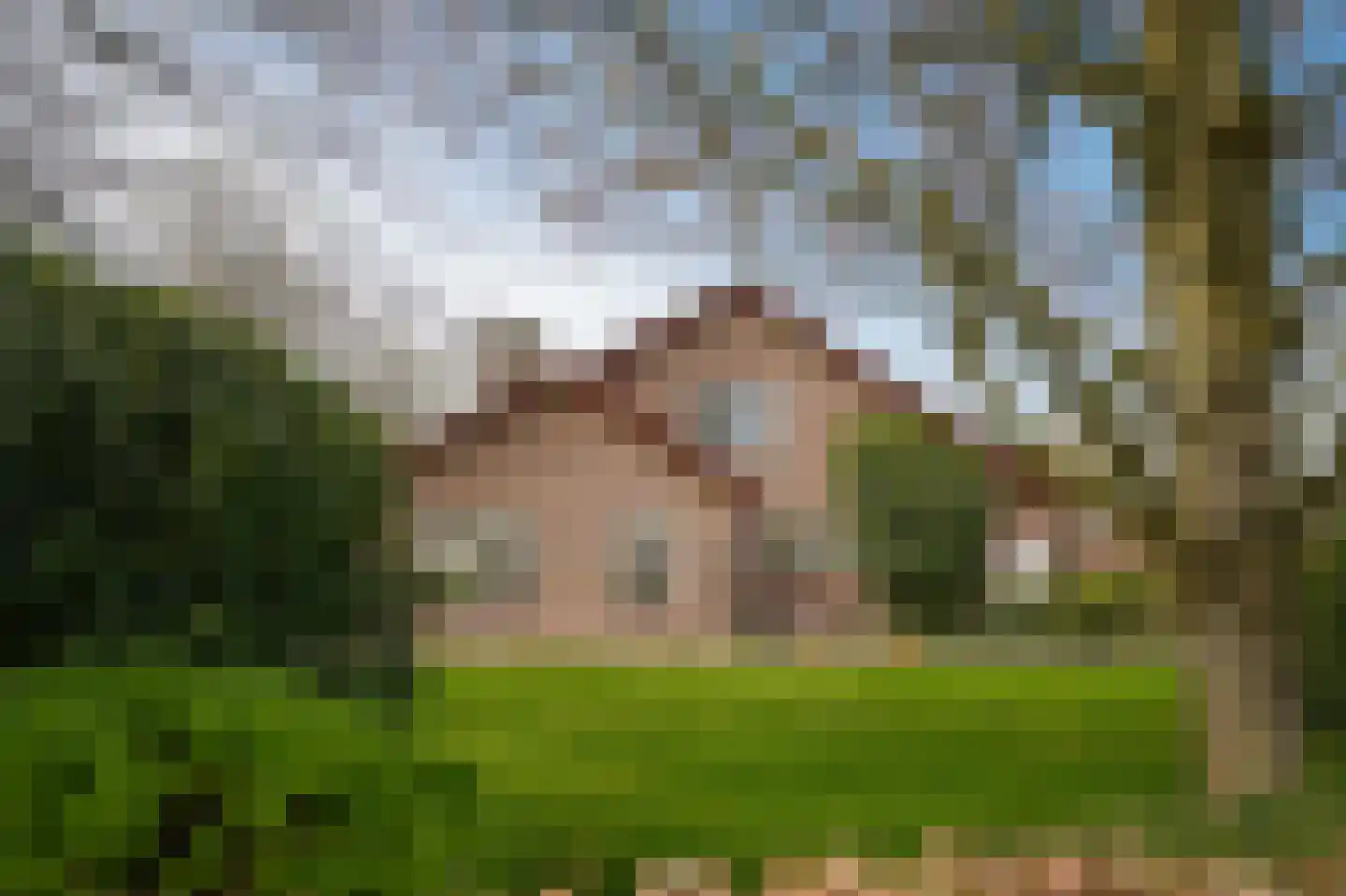 Leerdamseweg 52 Asperen thumbnail 48