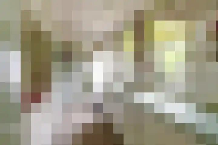 Leerdamseweg 57 Asperen thumbnail 16