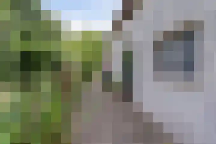 Leerdamseweg 57 Asperen thumbnail 35