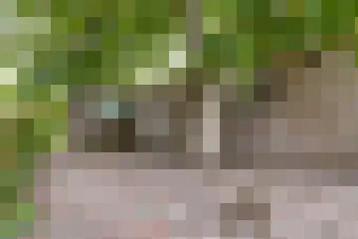 Leerdamseweg 57 Asperen thumbnail 36