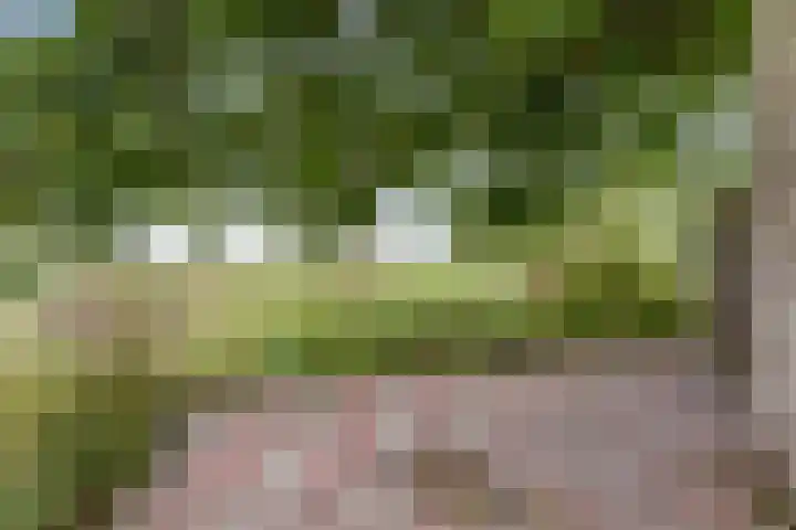 Leerdamseweg 57 Asperen thumbnail 37