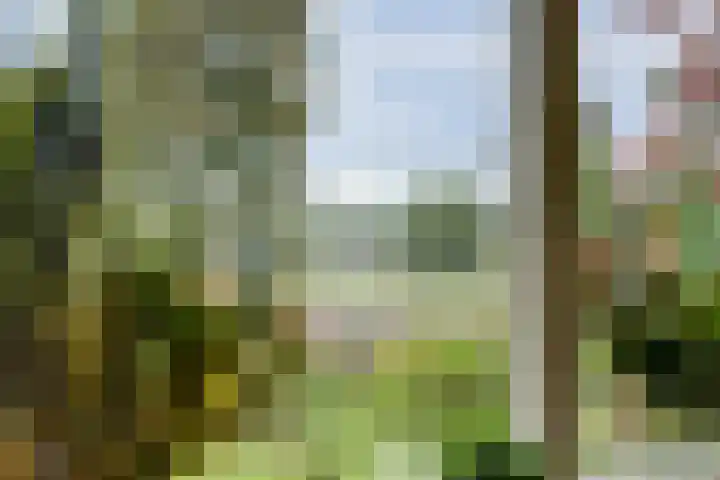 Leerdamseweg 57 Asperen thumbnail 4