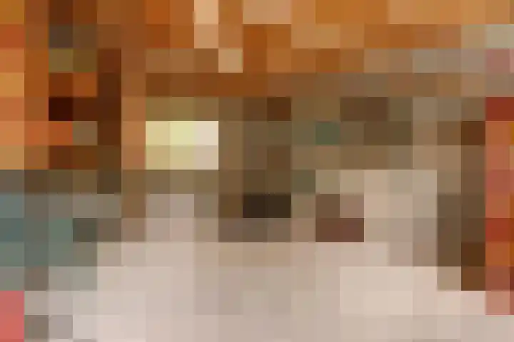 Leerdamseweg 57 Asperen thumbnail 40