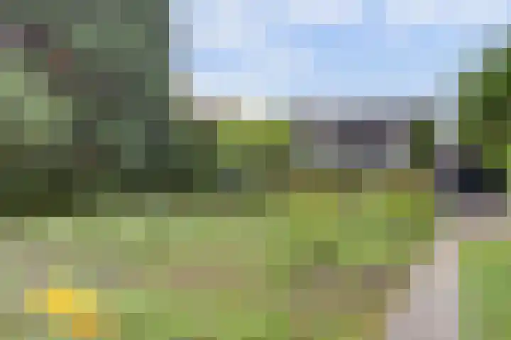 Leerdamseweg 57 Asperen thumbnail 47
