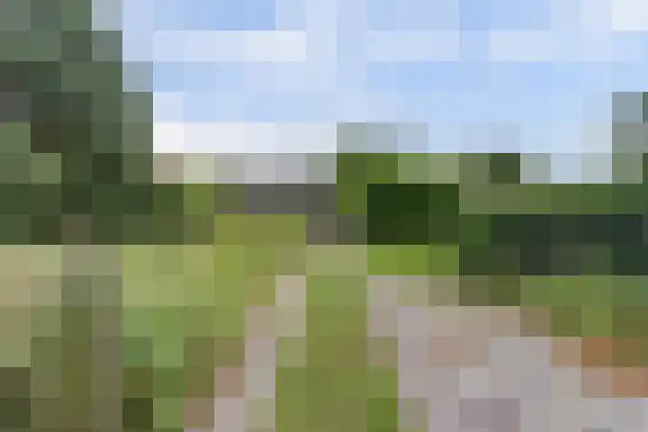 Leerdamseweg 57 Asperen thumbnail 49