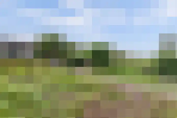 Leerdamseweg 57 Asperen thumbnail 51