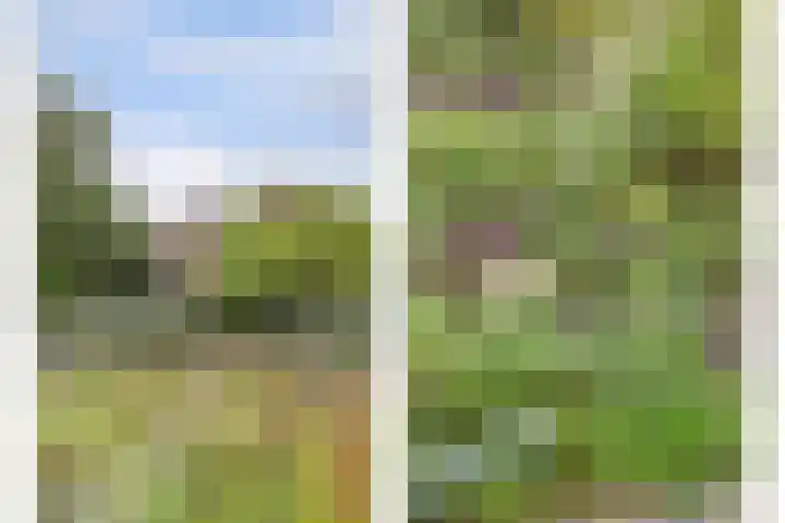 Leerdamseweg 57 Asperen thumbnail 52