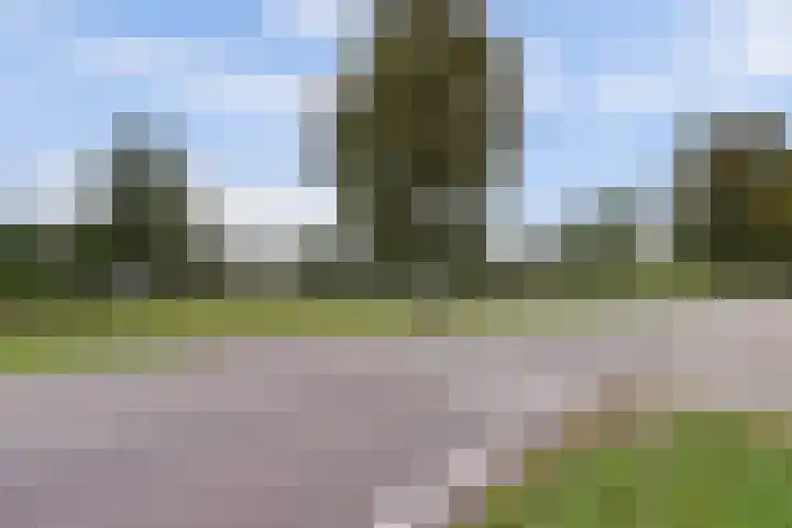 Leerdamseweg 57 Asperen thumbnail 54