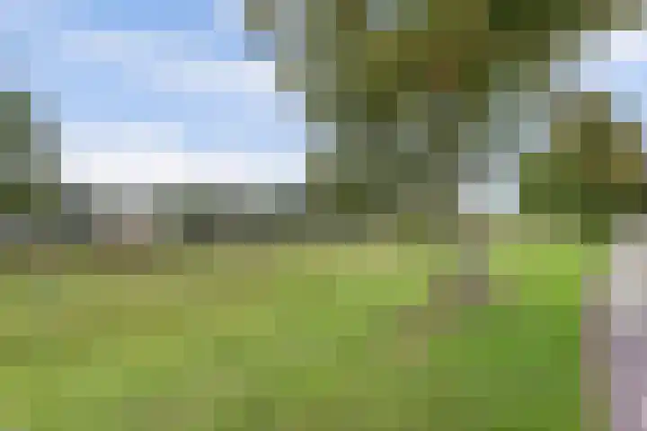 Leerdamseweg 57 Asperen thumbnail 55