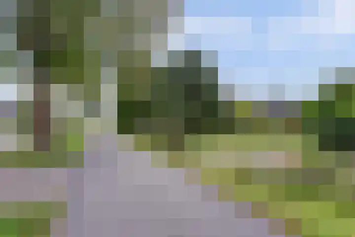 Leerdamseweg 57 Asperen thumbnail 56
