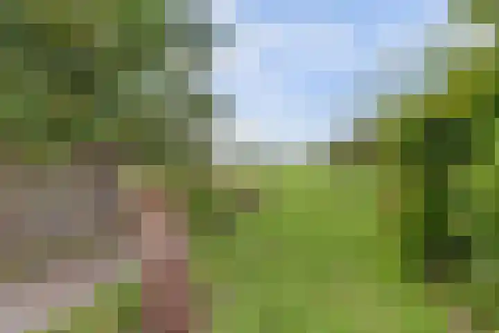 Leerdamseweg 57 Asperen thumbnail 57