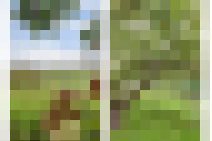 Leerdamseweg 57 Asperen thumbnail 58