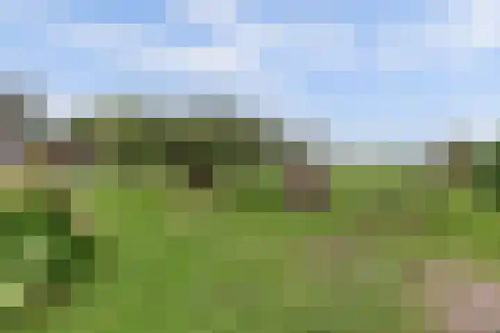 Leerdamseweg 57 Asperen thumbnail 59