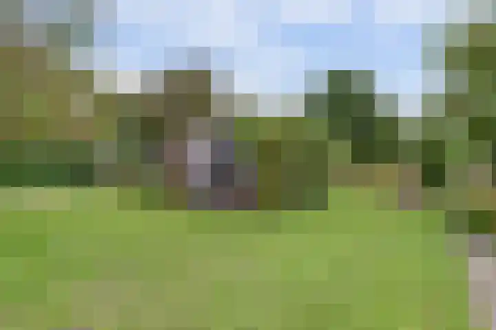 Leerdamseweg 57 Asperen thumbnail 60