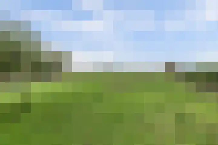 Leerdamseweg 57 Asperen thumbnail 61