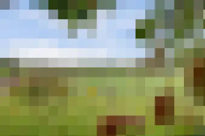 Leerdamseweg 57 Asperen thumbnail 62