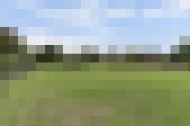 Leerdamseweg 57 Asperen thumbnail 63