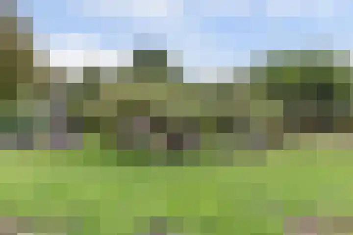Leerdamseweg 57 Asperen thumbnail 64