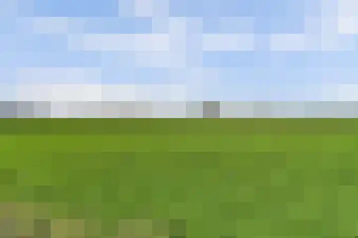 Leerdamseweg 57 Asperen thumbnail 65