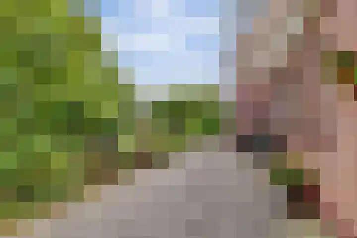 Leerdamseweg 57 Asperen thumbnail 66