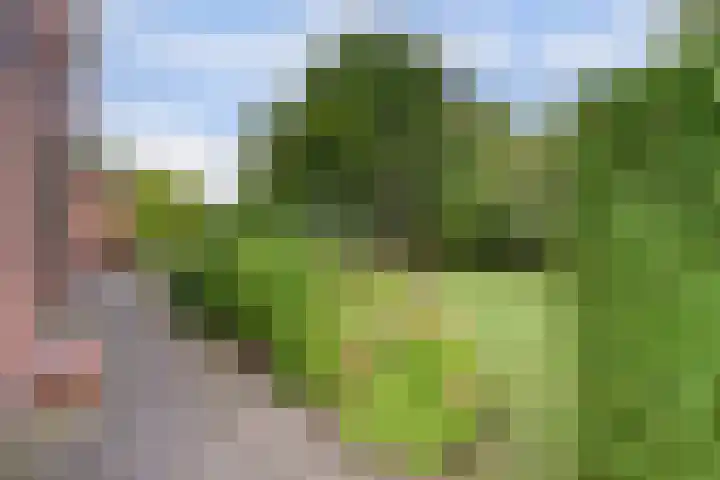Leerdamseweg 57 Asperen thumbnail 67
