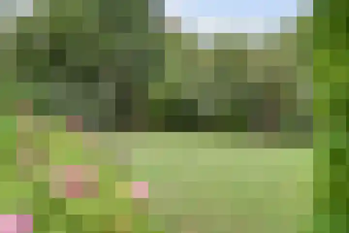Leerdamseweg 57 Asperen thumbnail 68