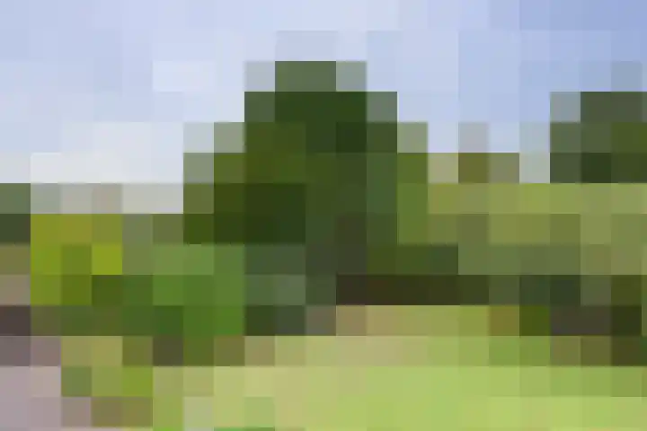 Leerdamseweg 57 Asperen thumbnail 69