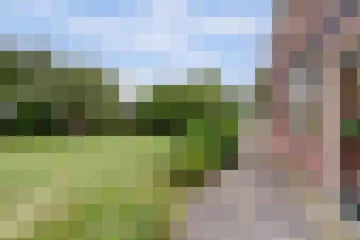 Leerdamseweg 57 Asperen thumbnail 7