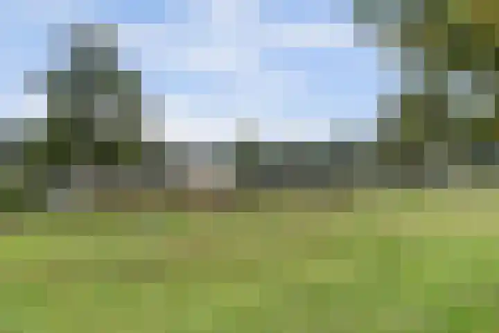 Leerdamseweg 57 Asperen thumbnail 71