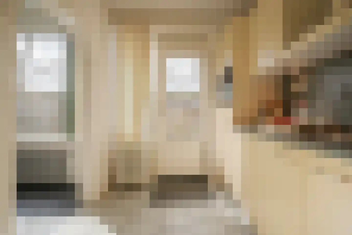 Leerdamstraat 4 Arnhem thumbnail 21