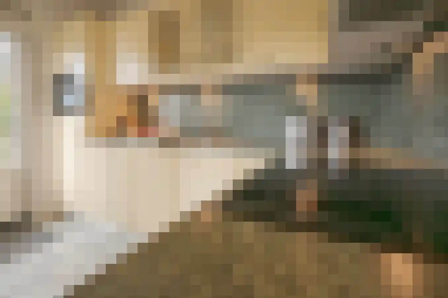 Leerdamstraat 4 Arnhem thumbnail 4