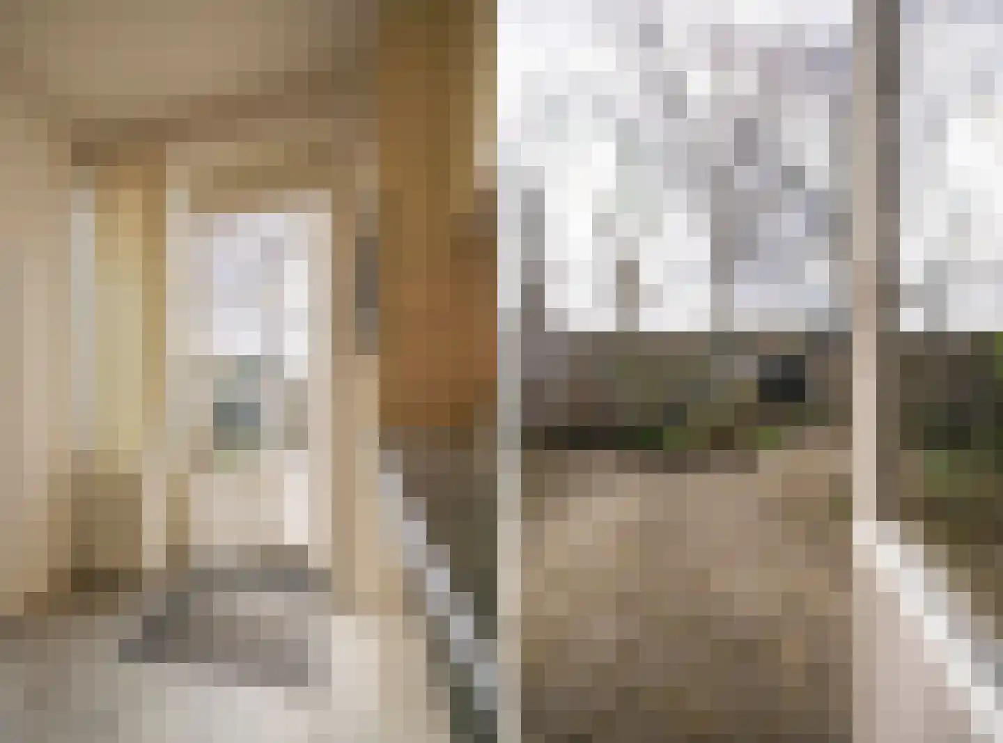 Leerdamstraat 4 Arnhem thumbnail 49