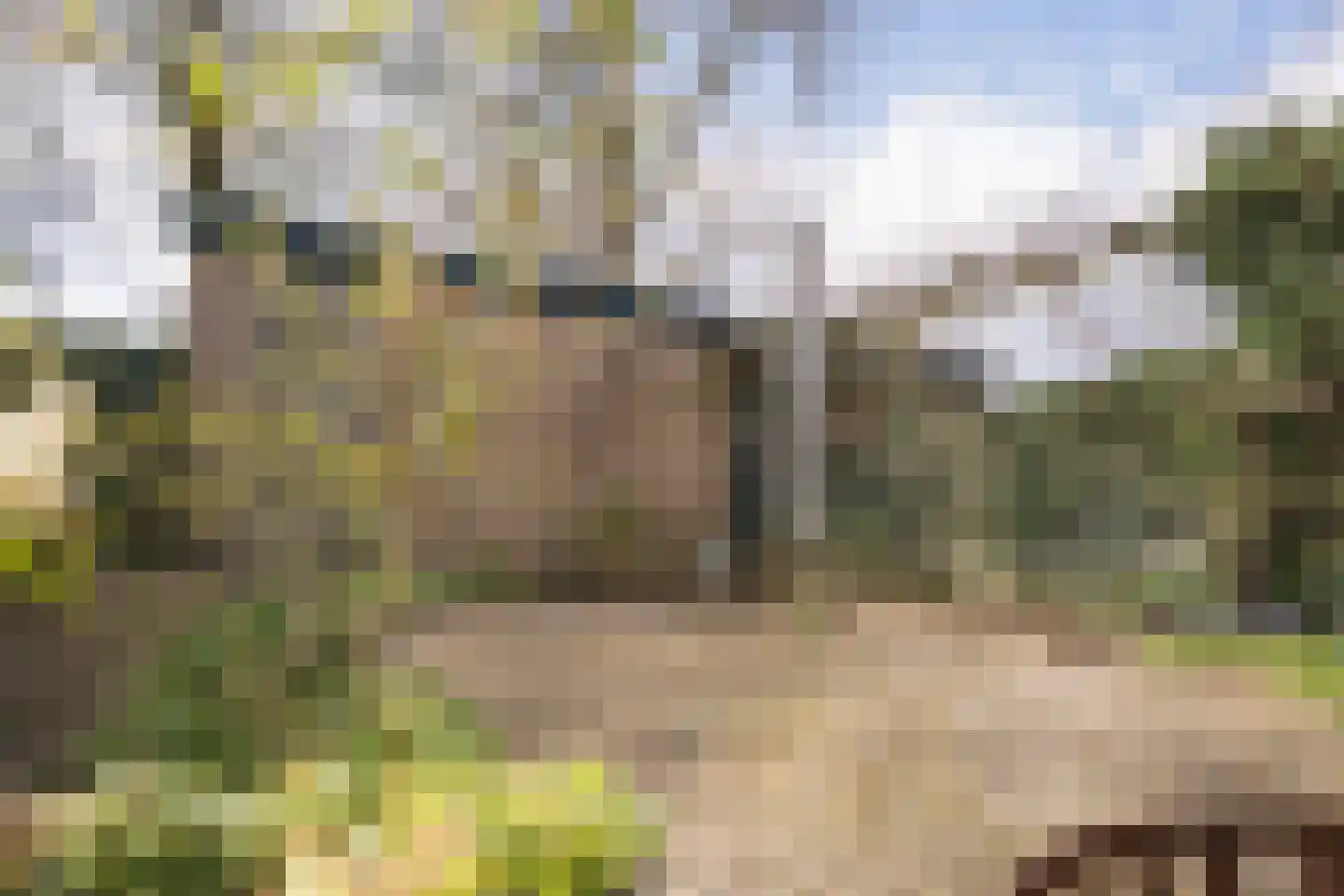 Leerdamstraat 4 Arnhem thumbnail 51