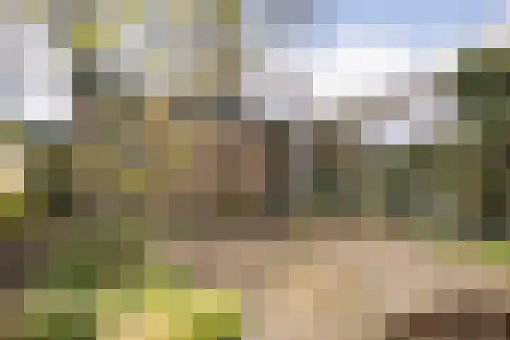 Leerdamstraat 4 Arnhem thumbnail 51