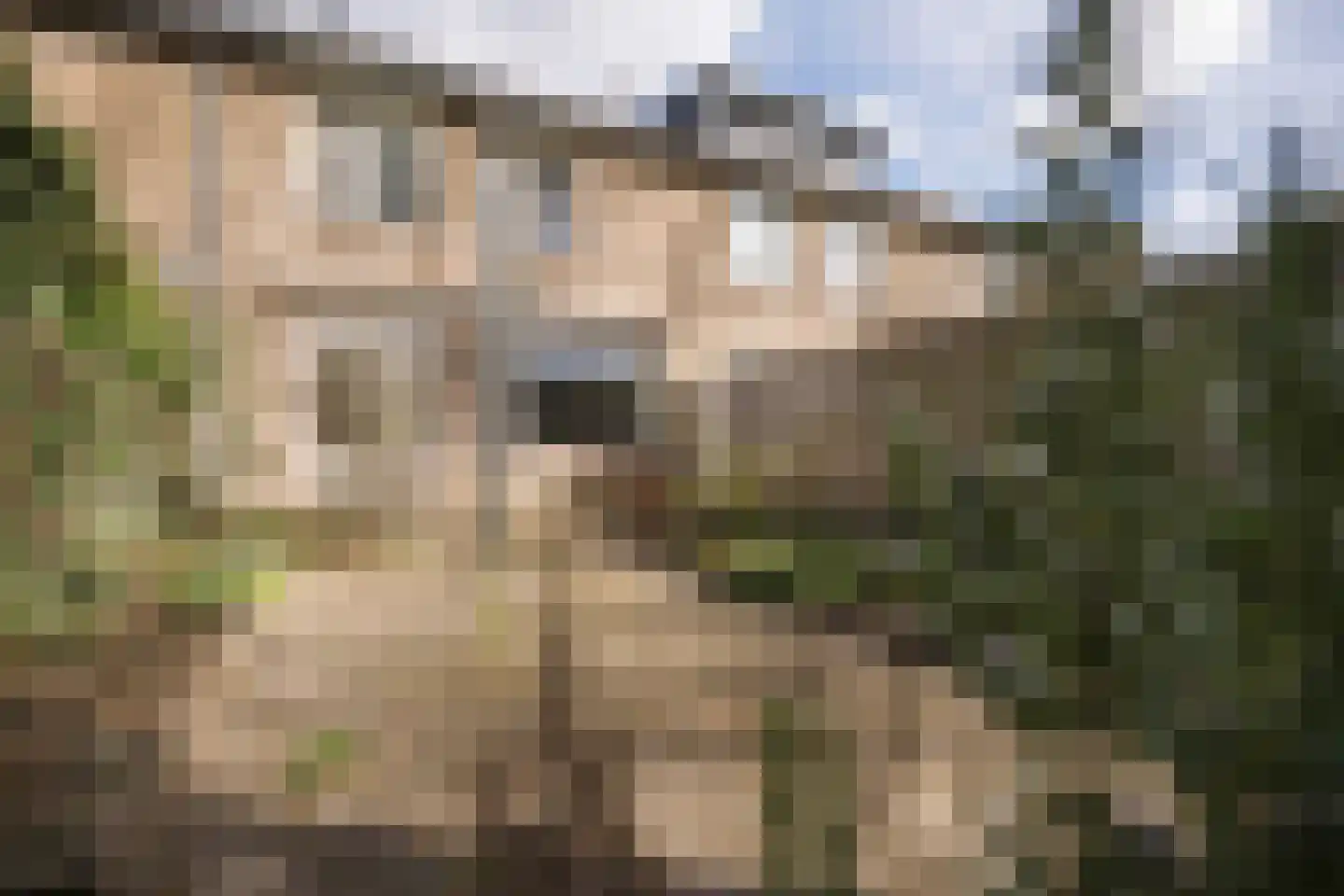 Leerdamstraat 4 Arnhem thumbnail 6