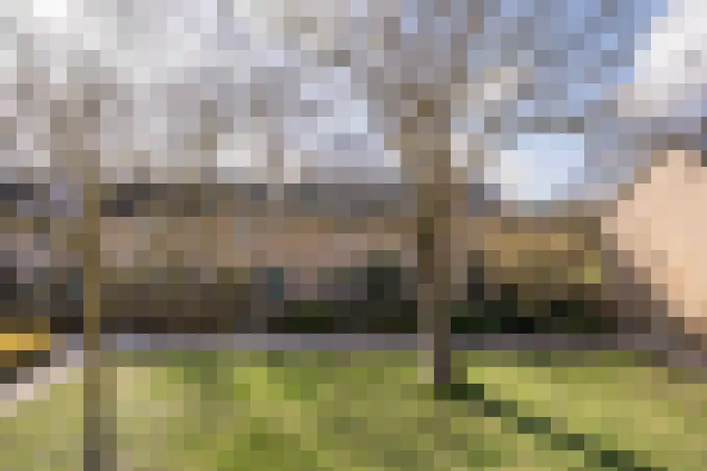 Leerdamstraat 4 Arnhem thumbnail 8