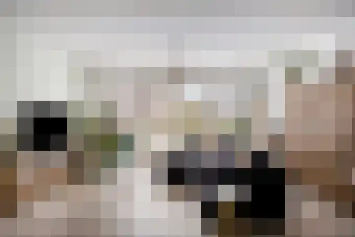Leergracht 23 Bergeijk thumbnail 4