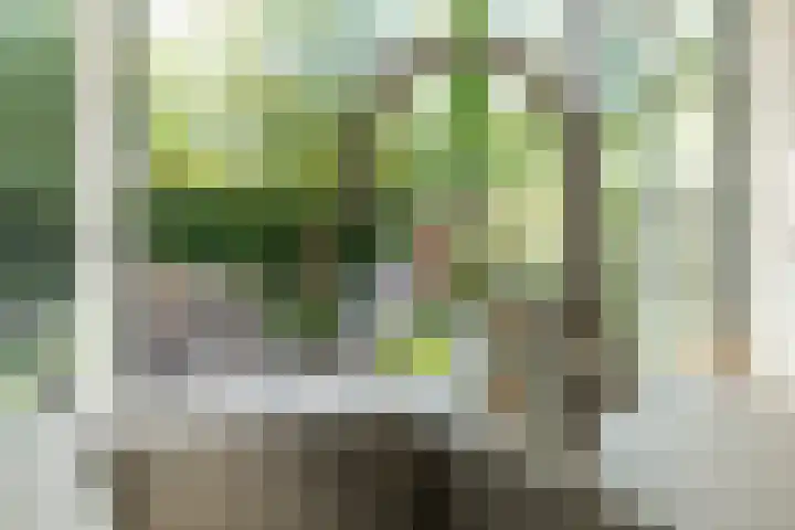 Leergracht 8 Bergeijk thumbnail 17