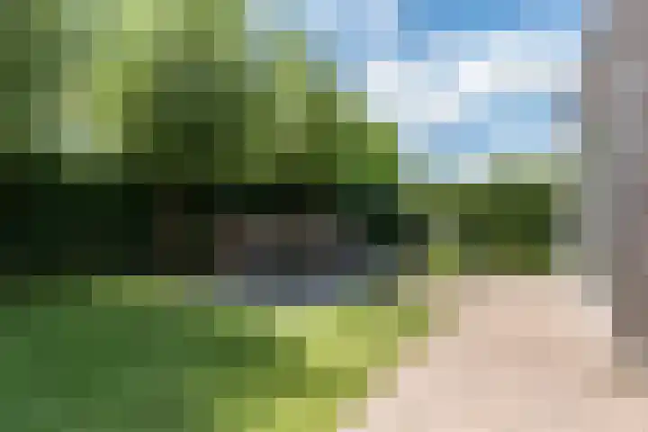 Leergracht 8 Bergeijk thumbnail 36