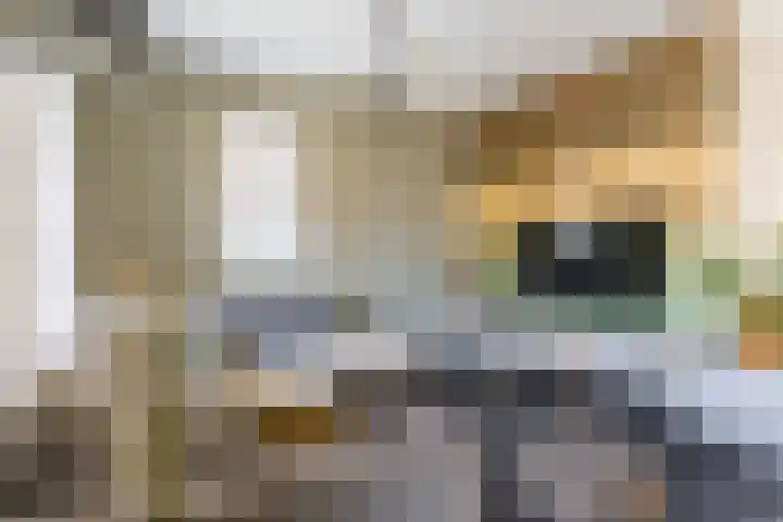 Leergracht 8 Bergeijk thumbnail 8