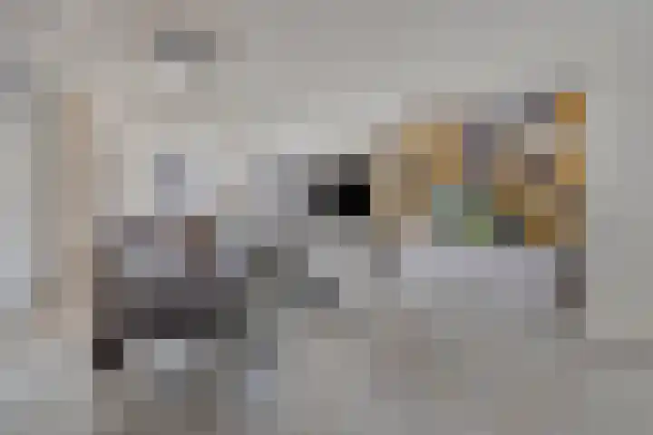 Leerhoevestraat 22 Alphen aan den Rijn thumbnail 10