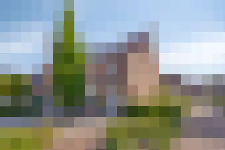 Leerhoevestraat 22 Alphen aan den Rijn thumbnail 4