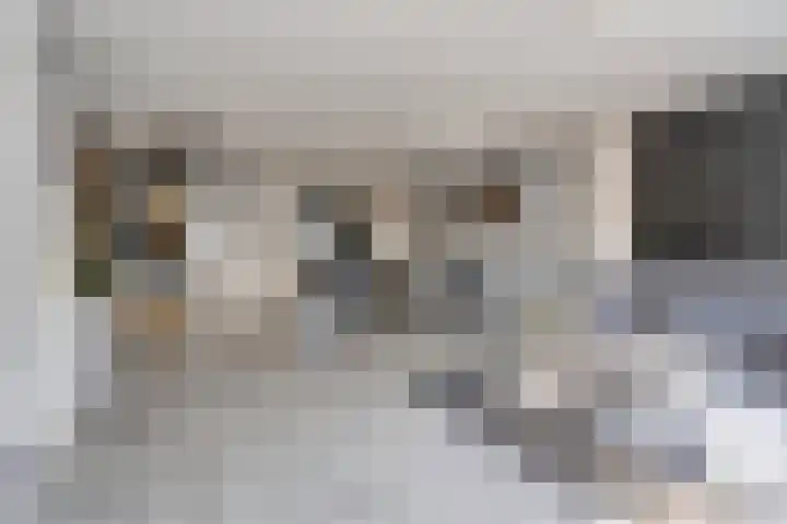 Leerhoevestraat 22 Alphen aan den Rijn thumbnail 8