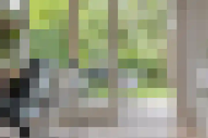 Leerinkbeek 61 Zwolle thumbnail 12