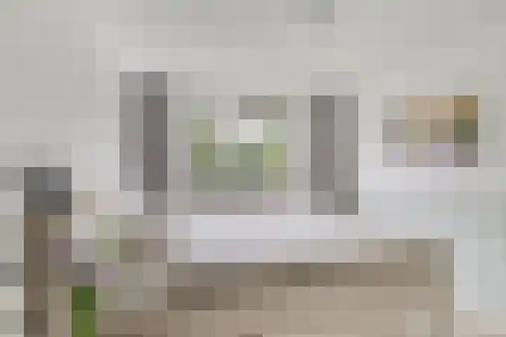 Leerinkbeek 61 Zwolle thumbnail 17